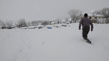 Kafkas Arıları Kar Yağışıyla "Mesailerini" Tamamladı