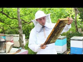 Certifikimi i prodhimeve në Gjirokastër; AKU fton fermerët e vegjël - Top Channel Albania