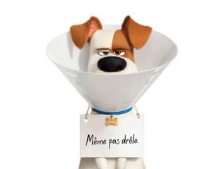 The Secret Life of Pets 2: Trailer HD VF