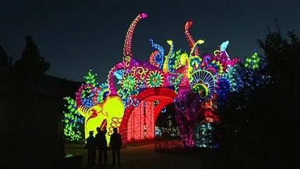 شاهد: فوانيس عملاقة في باريس تروي قصص التنوع البيولوجي