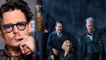 Fantastic Beasts: The Crimes Of Grindelwald: Fans lashes out at Johnny Depp | FilmiBeat