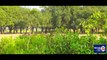 चौहरजन धाम बाराही देवी मन्दिर, प्रतापगढ़ (उ.प्र.) | Chauharjan Dhaam Batayi Devi Temple Raniyan Pratapgarh (U.P.) India