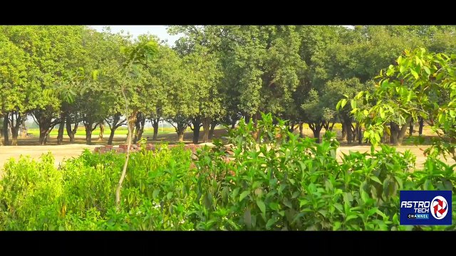 चौहरजन धाम बाराही देवी मन्दिर, प्रतापगढ़ (उ.प्र.) | Chauharjan Dhaam Batayi Devi Temple Raniyan Pratapgarh (U.P.) India