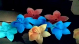 THE LICORICE SCHTIK _ FLOWERS FLOWERS VIDEO CLIPE