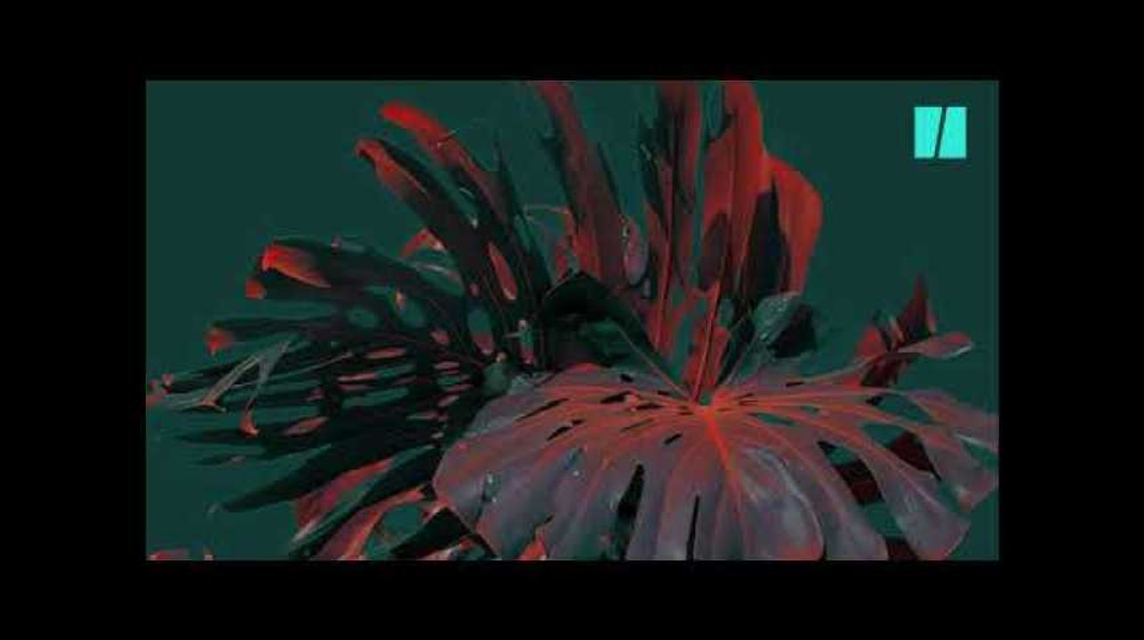 Vous n'avez jamais vu de plantes comme celles imaginées par cet artiste