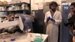 Científicos chilenos crean piel “fotosintética”, regenera tejido