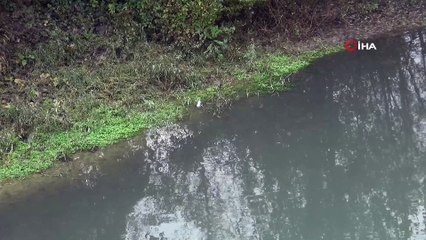 Bartın ırmağı siyaha büründü