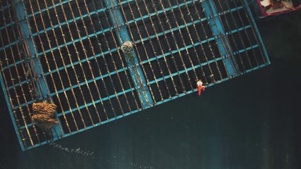 Producción para Fábrica de conservas.