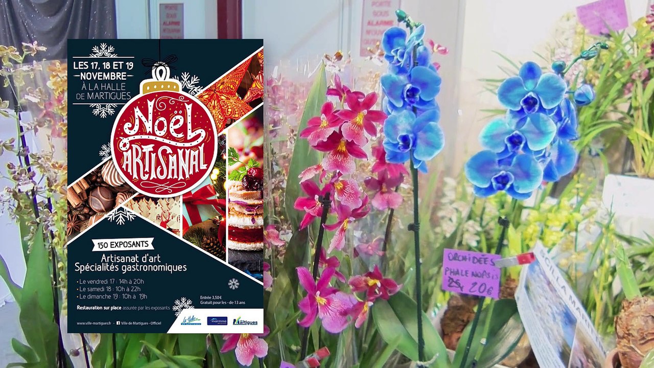 Sorties week-end du 17 et 18 octobre