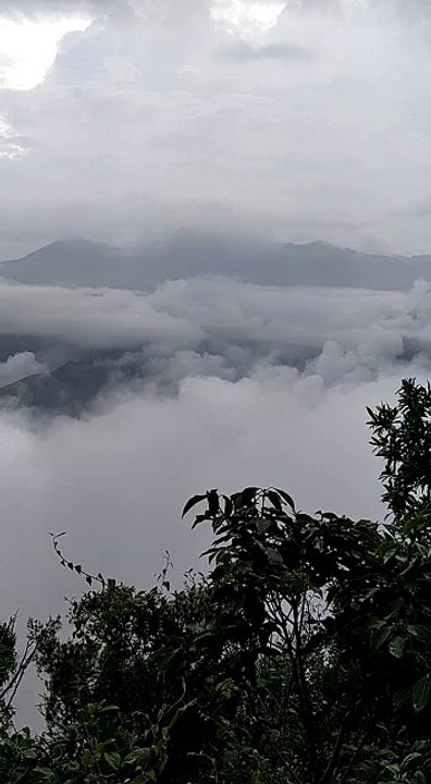 Magic Fog