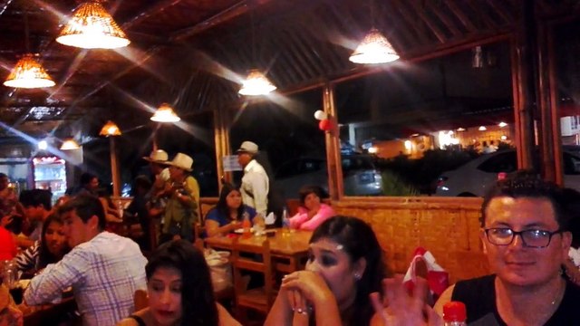 ECUA CHICHA MIX: ENLACE TROPIKAL; LOLITA ECHEVERRIA; LOS PADILLAS; LOS AUTENTICOS DE CALDERÓN & PROYECCIÓN LATINA.