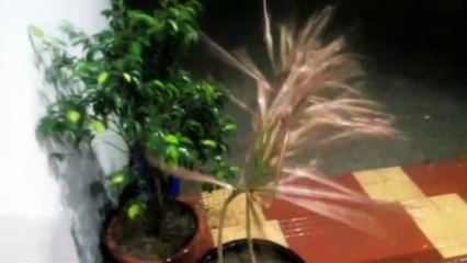 Ciclone causa mortes e estragos na Índia