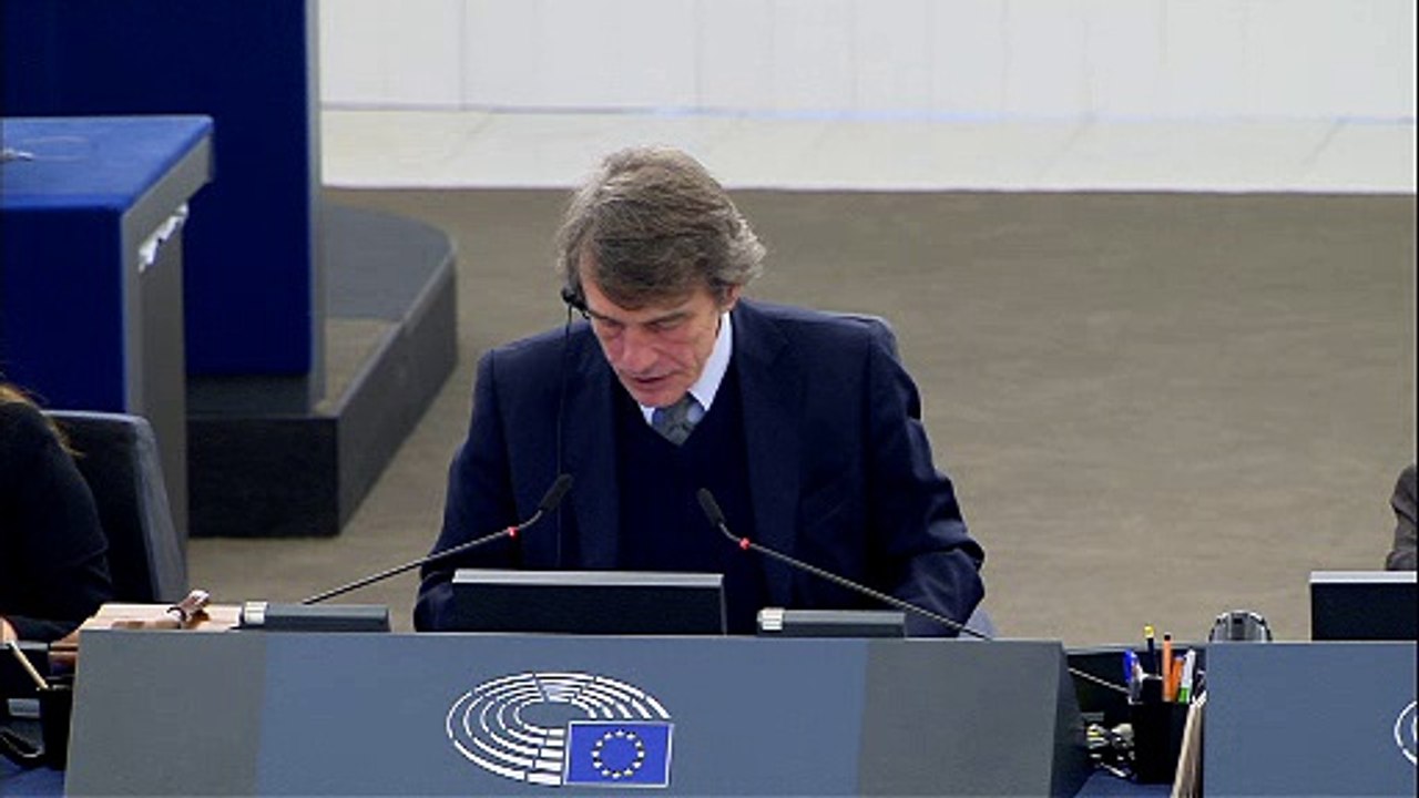 MEPs call for a European plan to combat Lyme disease - EU-Parliament debate 15-11-2018 (SD)