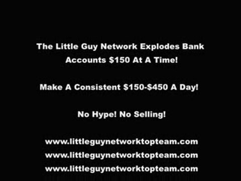 The Little Guy Network - Little Guy Netw
