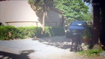 Rex, chien flic S11E07 FRENCH