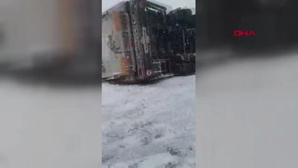 Sivas Devrilen Tır'ın Dorsesindeki Koyunları Çevredekiler Kurtardı