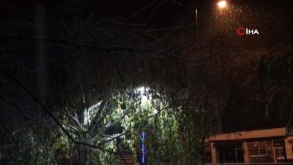 Bingöl'ün ilçelerinde kar yağışı etkili oldu