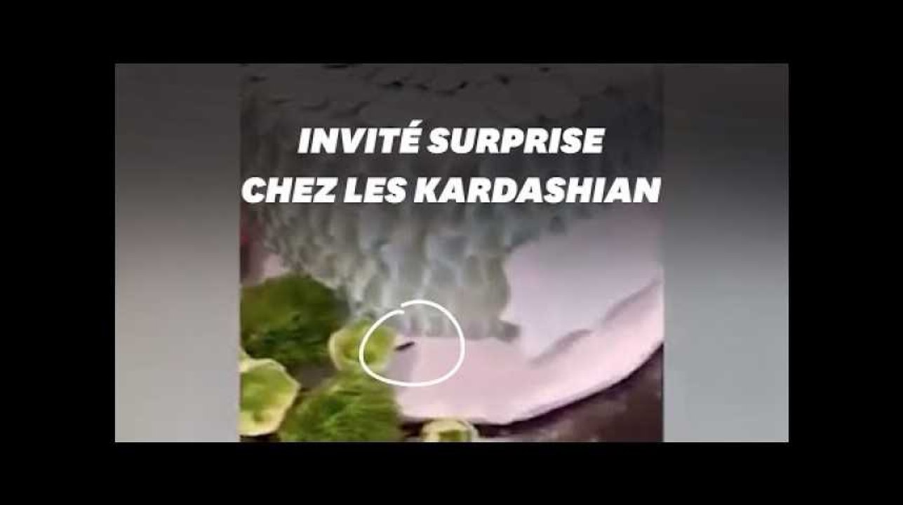 Kylie Jenner a raté ce détail dégoûtant près du gâteau d'anniversaire de sa nièce