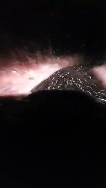 JABLANICA 16.11.2018