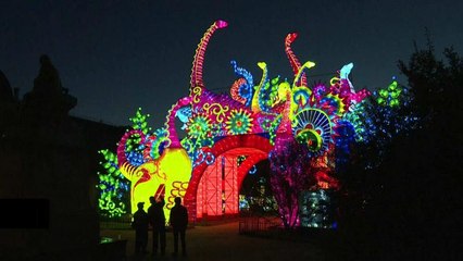 «Освещение видов»