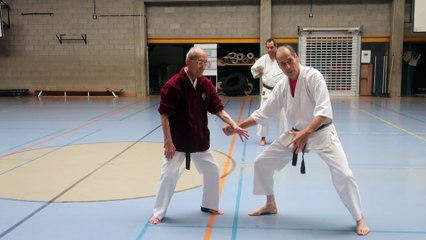 Stage de Bruxelles 2018, travail des avants-bras