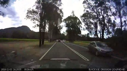 ¿Qué demonios hacía esta limusina estacionada en medio de la carretera?