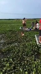 Funny Video: Man Slipped On Boat and Fell Into The Marsh | Les Anges