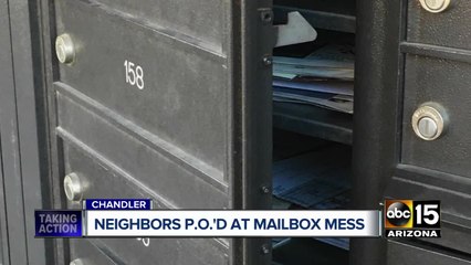 Chandler woman stands guard over neighbors' mail after boxes left open
