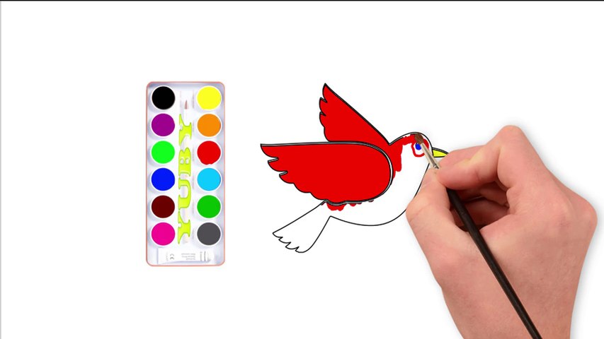 Coloring And Drawing For Kids - Coloring A Dove - How To Draw A Dove