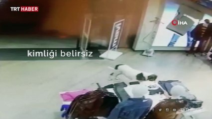 Sevimli köpek AVM'den tişört çalarken kameralara yakalandı