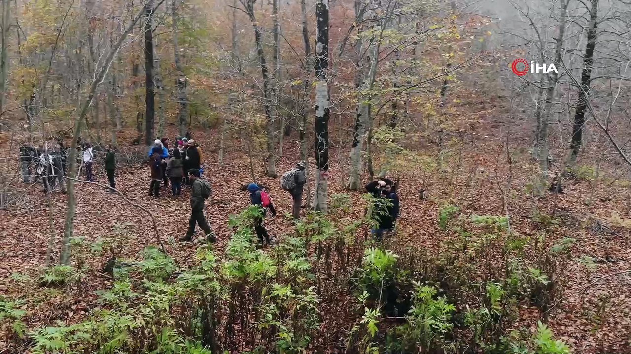 Dumanlı Yaylası sonbaharın gelmesiyle fotoğraf tutkunları ve doğaseverlerin uğrak yeri haline geldi...Dumanlı Yaylası havadan böyle görüntülendi