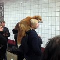 Girl rides in the Moscow metro with a fox on his shoulder