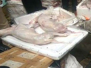 எழும்பூர் ரயில் நிலையத்தில் 2000 கிலோ நாய்க்கறி பறிமுதல்