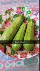 شربة الجريش بالحليب والكوسة شربة لذيذة جدا ومميزة