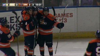 ECHL Wheeling Nailers 3 at Greenville Swamp Rabbits 3