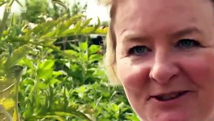 The Great Interior Design Challenge S03 E13