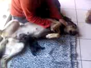 Lucky Star - Dog - 21/04/2007 - 01