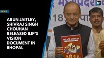 Arun Jaitley, Shivraj Singh Chouhan released BJP’s vision document in Bhopal