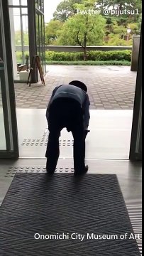 Deux chats qui veulent entrer dans un musée d'art à tout prix !