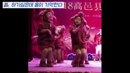 요망한 허리놀림 ㄷㄷㄷ 심장이 쿵쾅거리는 영상 모음