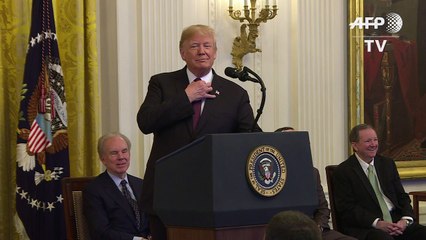 دونالد ترامب يكرّم إلفيس بريسلي