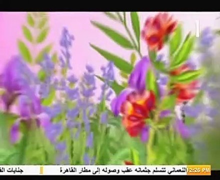 فعاليات مؤتمر التنوع البيولوجي بشرم الشيخ