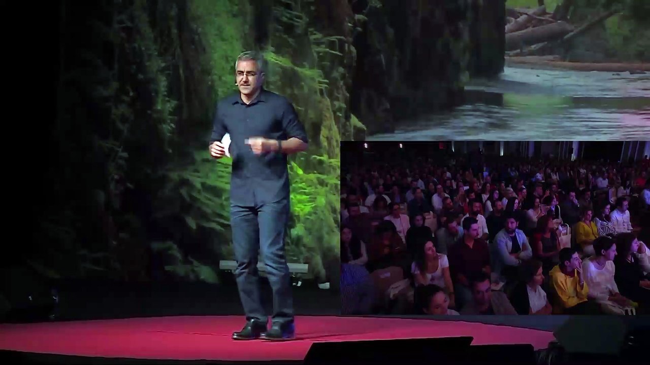 Başarı(sızlık) Yazılımımız Nasıl Çalışıyor - Mümin Sekman