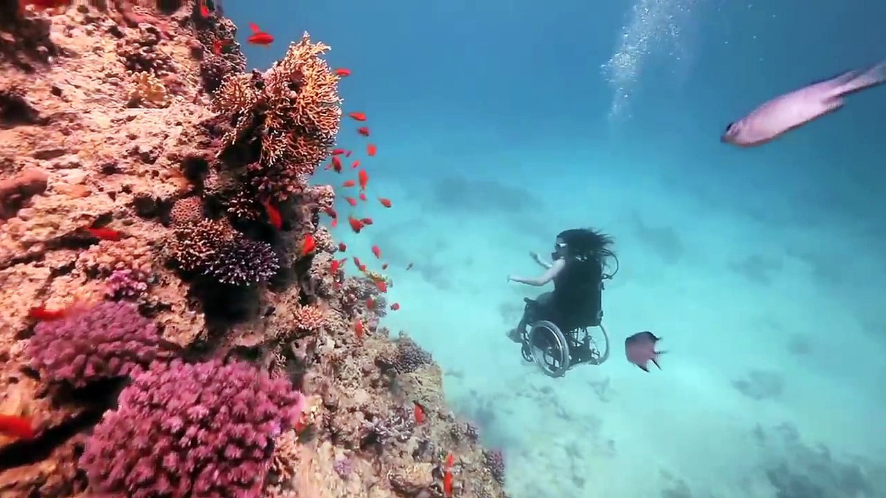 Ce fauteuil a été adapté pour faire de la plongée sous-marine et les images sont magnifiques