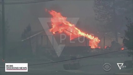 Digjet Kalifornia, mbi 1 mijë të zhdukur - News, Lajme - Vizion Plus