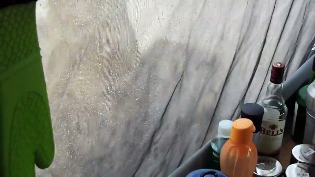 Des campeurs réveillés par 2 lions qui lèchent l'eau sur leur tente... Un peu flippant