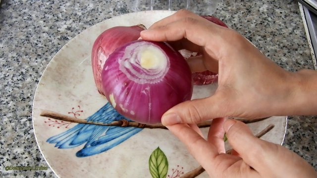 Como Evitar la Caida del Cabello y Como Hacer Crecer el Cabello al mismo Tiempo |Belleza sin Limites