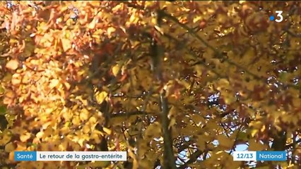 Santé : la gastro-entérite fait son retour