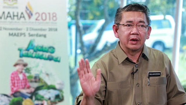 My Minister series: Salahuddin Ayub