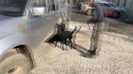 Hakkari Yedek Lastikten 6 Kilo Eroin Çıktı